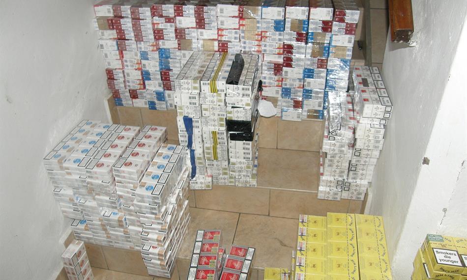 2010-12-27-1113101213_realizaceTP (7).jpg